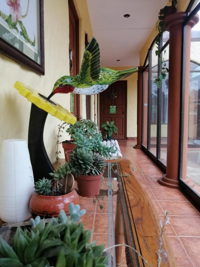 Hotel Santa Fe B&B Monteverde Zewnętrze zdjęcie